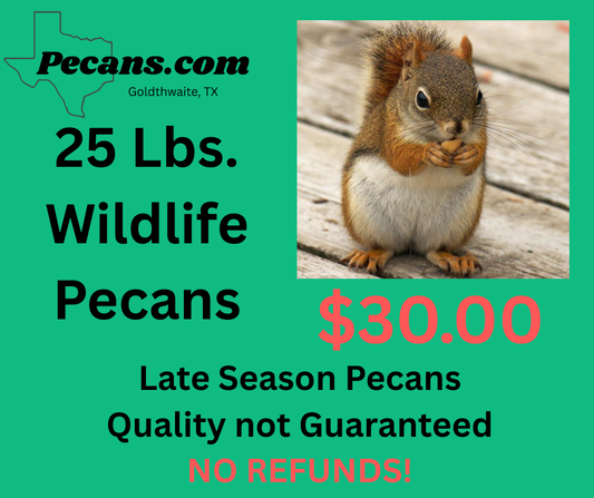 Advertisement for 25 lbs of wildlife pecans with a squirrel image and Pecans.com branding.