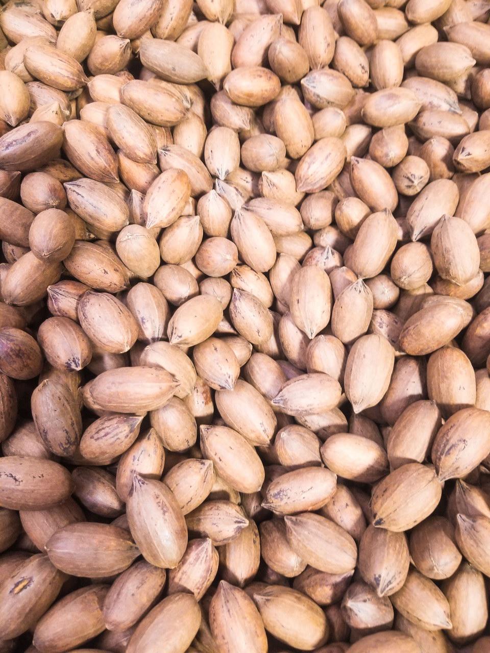 Inshell Pecans (NT-1) Please Select Lot Number First!