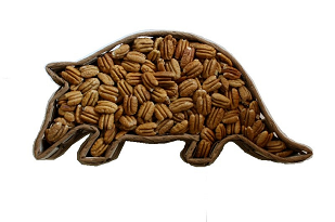 Armadillo 10" Pick a Flavor Basket