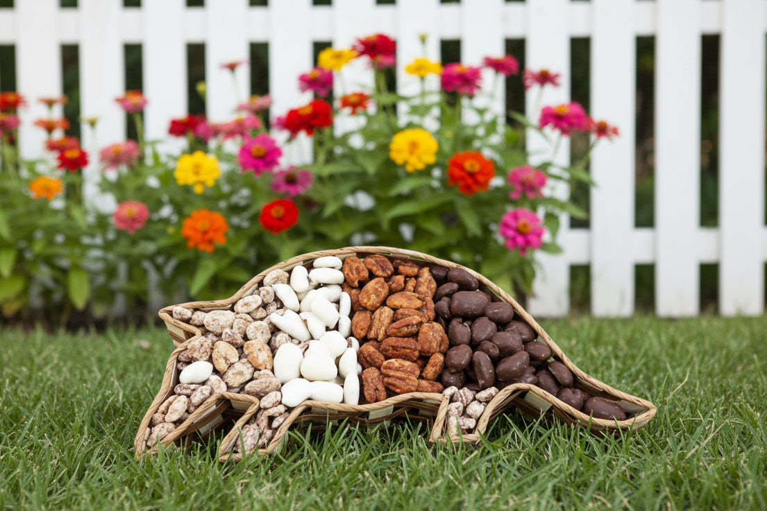 Banded Armadillo