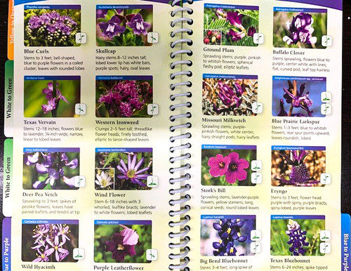 Wildflowers of Texas by George Miller