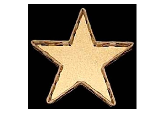 Basket-Star 8"