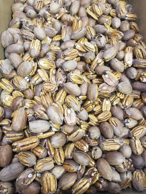 25lbs Cracked Bulk Pecans- Due to state regulations, we are unable to ship in-shell pecans to California or Arizona