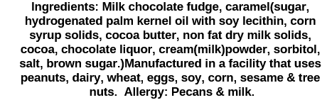 Fudge Pecan Caramel Turtle 2 Pack