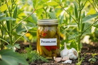 Pickled Okra
