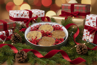 one dozen Pecan Praline Candies in a Christmas Tin