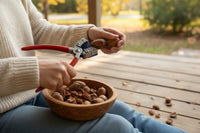 Texan Nut Sheller pecan harvester