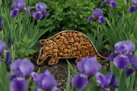 Armadillo wicker basket you fill with your favorite flavored pecans