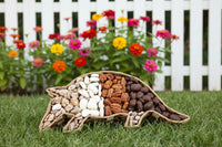 Banded Armadillo wicker basket filled with 4 flavors of pecans, Milk and White Chocolate, Praline and butter toffee.