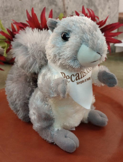 Squirrel in a Pecans.com Bandana