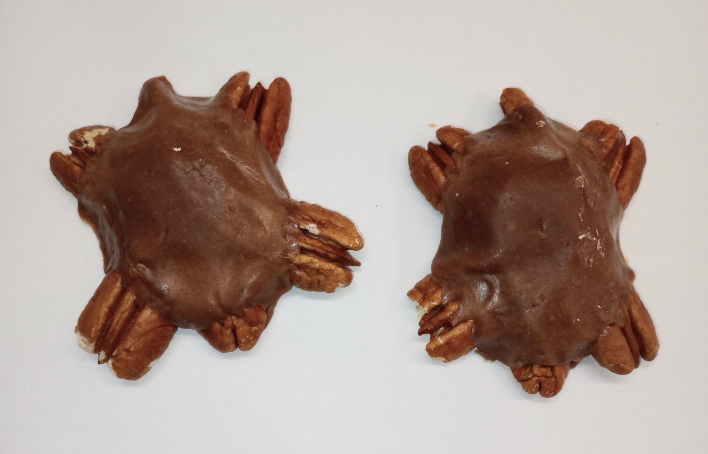 Fudge Pecan Caramel Turtle 2 Pack