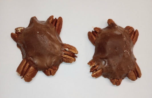 Fudge Pecan Caramel Turtle 2 Pack