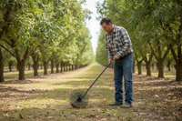 Roll a nut Pecan harvester