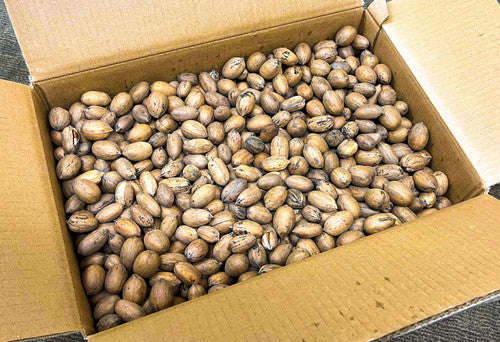 Squirrel In-Shell Pecans 20 lbs  -Not for Human Consumption! Due to state regulations, we are unable to ship in-shell pecans to California or Arizona. No PO Boxes Please.